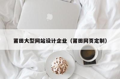 莆田大型網站設計企業(yè) 專業(yè)網頁定制與電腦圖文設計制作